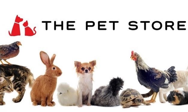 The Pet Store UK